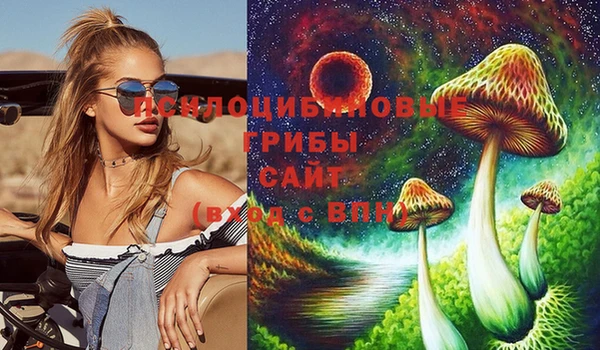 ГАЛЛЮЦИНОГЕННЫЕ ГРИБЫ Каменск-Шахтинский