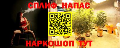 мдма Краснознаменск