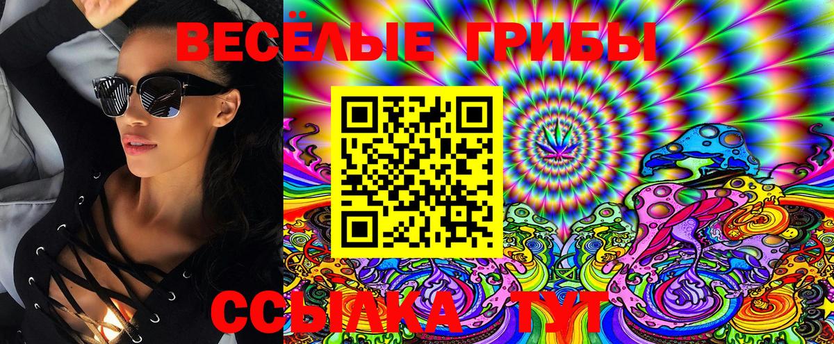 Пушкино  Псилоцибиновые грибы Psilocybe  Вход с VPN 